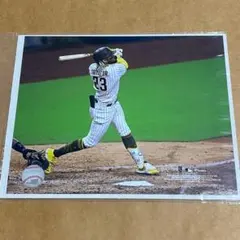 MLB ダルビッシュ有 直筆サイン入りフォト サンディエゴパドレス