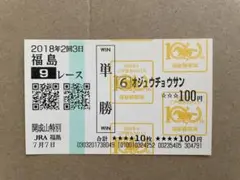 オジュウチョウサン　現地馬券　平地初勝利