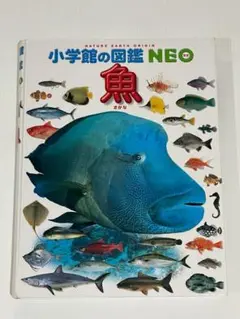 図鑑