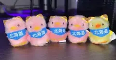 ぴよりーな ひよこのおかげ 北海道 狐ひよこ　5匹セット