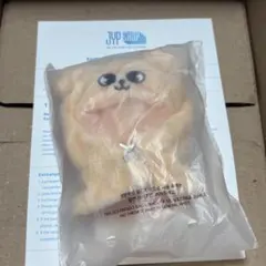 2 パピーム　スンミン　StrayKids スキズ　ポンチョ　ペンミ