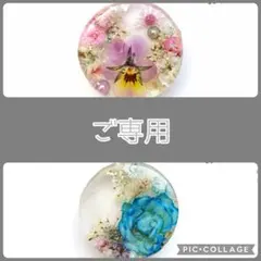 Non様ご専用 no.1772 レジン ヘアゴム ブローチ ポニーフック