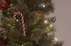 クリスマスオーナメント キャンディースティック6本 ガラス