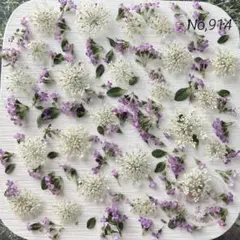 No,957 特小小花ミックス ドライフラワー花材 - メルカリ