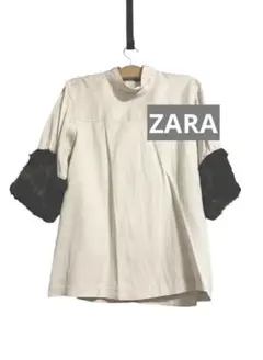 Item thumbnail for item 4609acc4-3840-431a-8712-16b81a21db49