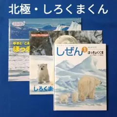 南極と北極 キンダーブックしぜん サンチャイルドビッグサイエンス