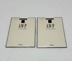 アムウェイ　A・W・P ストッキング　カプチーノ　Lサイズ　2足セット