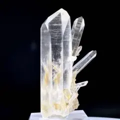 2026年最新】ゴールデンヒーラーの人気アイテム - メルカリ
