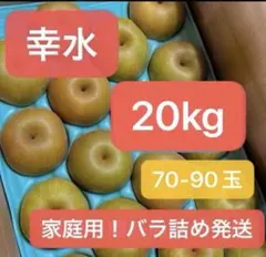 幸水長野県産 みなみ信州 幸水 当日収穫 当日発送！！ 20kg - メルカリ