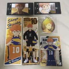 日向翔陽セット