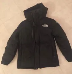 日本未発売　THENORTHEFACE ダウン