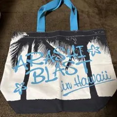 Item thumbnail for item d1c2944f-784b-4f12-8e27-551fccd0c9b0