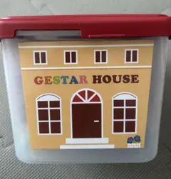 GESTER ジスター　天才の始まり ブロック玩具 収納ケース付き