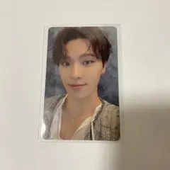 SEVENTEEN トレカ ディノ