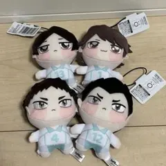匿名配送】タグ付未使用 ハイキュー!!ちょぴぬいぷち 青葉城西4種