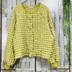 Item thumbnail for item 8450e62a-40fe-48b1-a715-2763cb6147ca