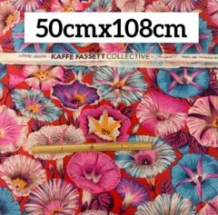 USAコットン ケイフファセット 花柄 生地 ⑨ 50cm ラスト1枚