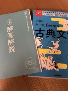 八澤のたった6時間で古典文法