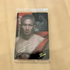 Item thumbnail for item b542b78e-e52e-4551-a2c0-ddd23621bc7e