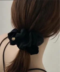 ビッグシュシュ