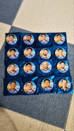 ワイルドナイツ　缶バッチセット