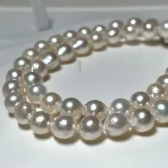 花珠級の輝き あこや本真珠 ネックレス パール 7.3〜7.7㎜ M710
