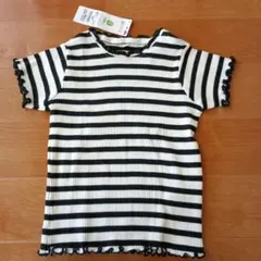 オーガニックコットン 半袖リブTシャツ ボーダー
