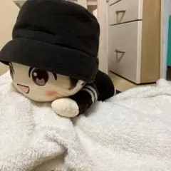 タグ付き TinyTAN 寝そべり ぬいぐるみ Jung Kook