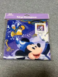 東京ディズニーランド 42周年 タオル
