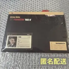 フィリックス　ポストカード　IDカード　ファイルセット Stray Kids
