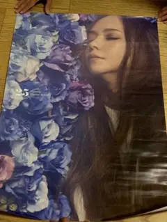 2025年最新】安室奈美恵finallyポスターの人気アイテム - メルカリ