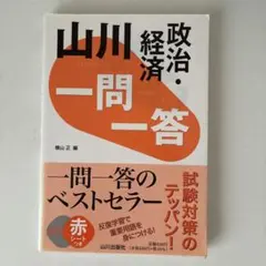 山川 一問一答政治・経済