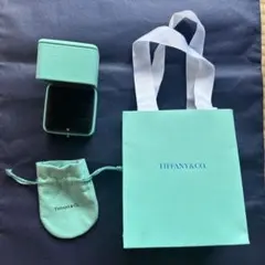 TIFFANY & CO. ペアリングケース