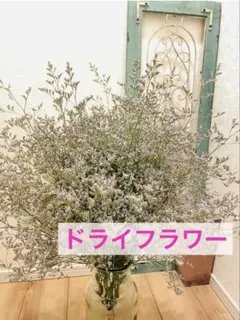 ✨1点限定‼️11種MIX【M】 HBチース かすみ アジサイ 生花 ドライ 2025