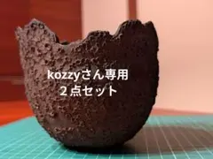 2026年最新】たけろうポット 鉢の人気アイテム - メルカリ