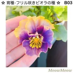 かなちゃん様 リクエスト 5点 まとめ商品