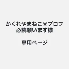 かくれやまねこ※プロフ必読願います様 リクエスト 2点 まとめ商品