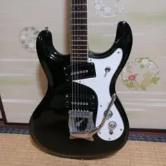 2025年最新】モズライト ハードケースの人気アイテム - メルカリ