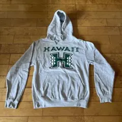 お値下げ！Hawaii 大学　フード付きパーカー グレー