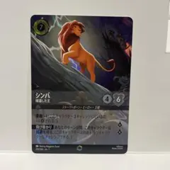 2025年最新】シンバ エンチャンテッドの人気アイテム - メルカリ