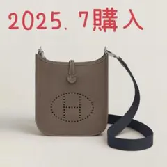 2025年最新】ミニエブリン エルメス エトゥープの人気アイテム - メルカリ