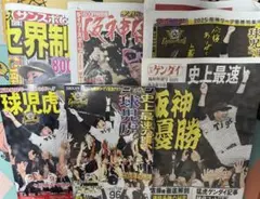 阪神タイガース　リーグ優勝記念特別号セット