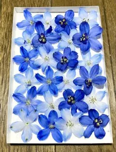 Yoo様 リクエスト 4点 まとめ商品