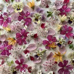 No,983 特小小花ミックス　ドライフラワー花材