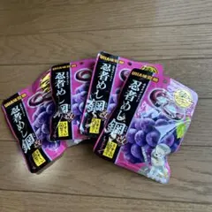 UHA味覚糖 忍者めし 鋼 グレープ味 4袋セットのサムネイル