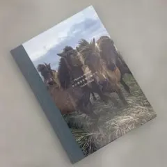 写真集「その背中を風が撫でて-Horses in the wind-」のサムネイル