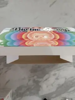 Big into Energy ラブブアソートボックス箱