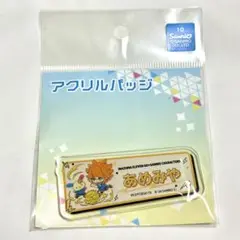イナズマイレブンGO 雨宮太陽 アクリルバッジ