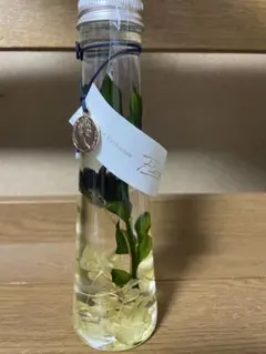 ハーバリウム グリーン