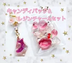 キャンディバック&レジンチャーム 2こセット No03 花 クマ うさぎ ハート